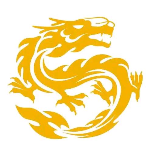 年少轻狂