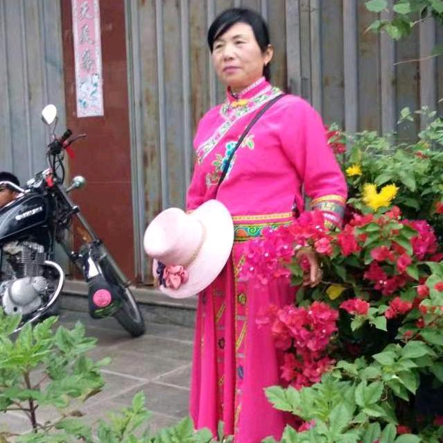 农村的人开直播