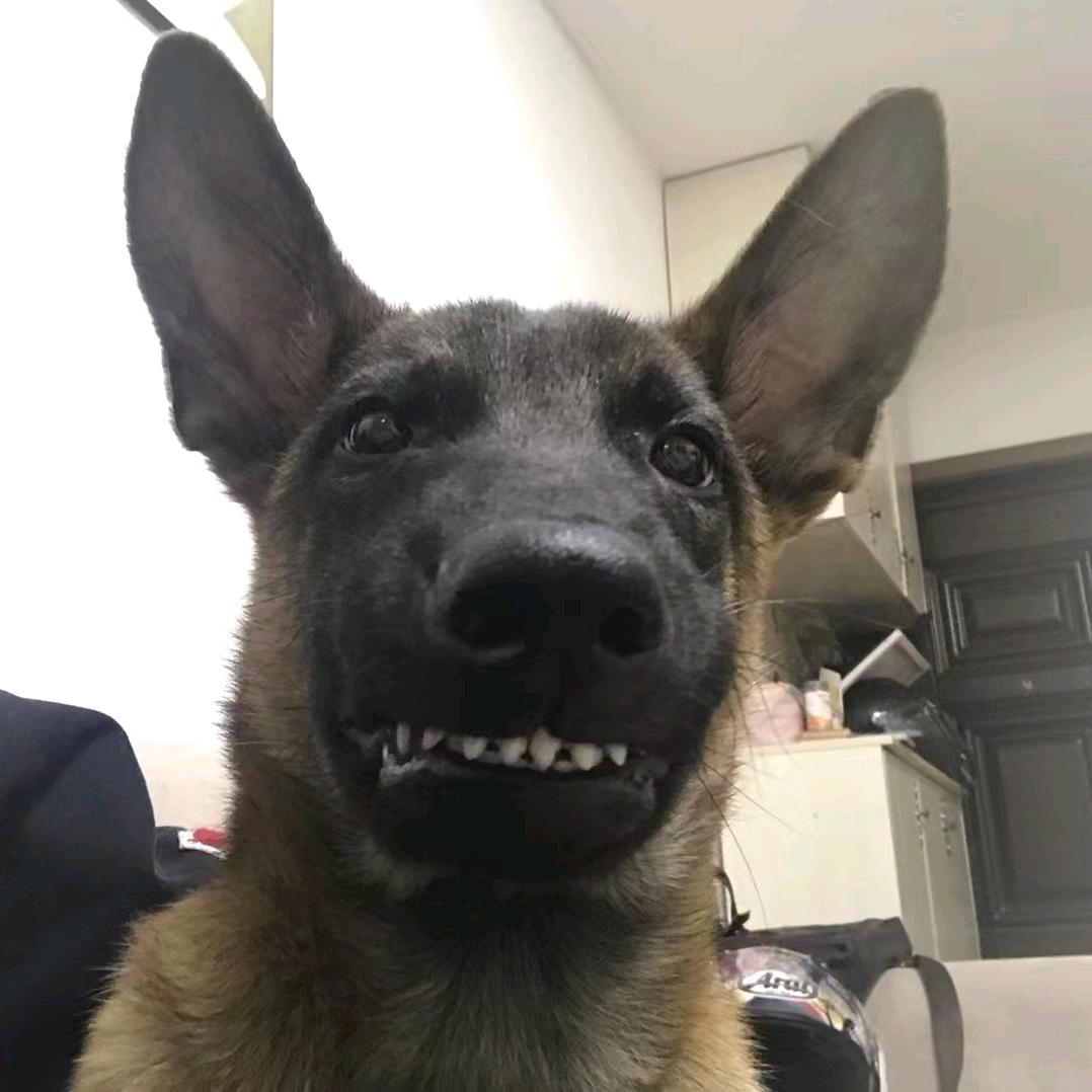 丁丁强