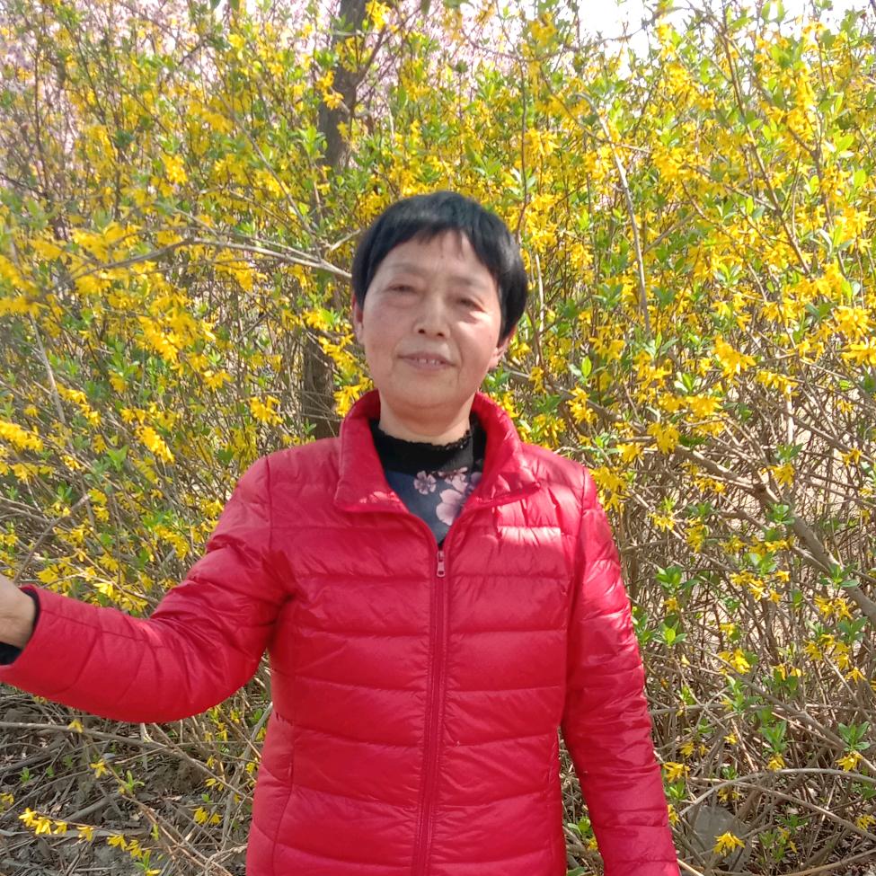 太阳