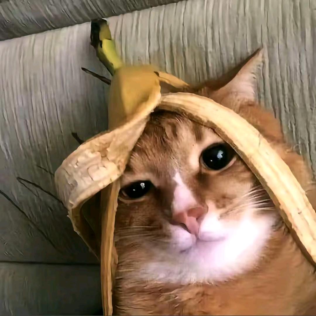 柳贯一🍂