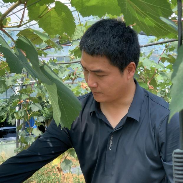 青青生态农业科技