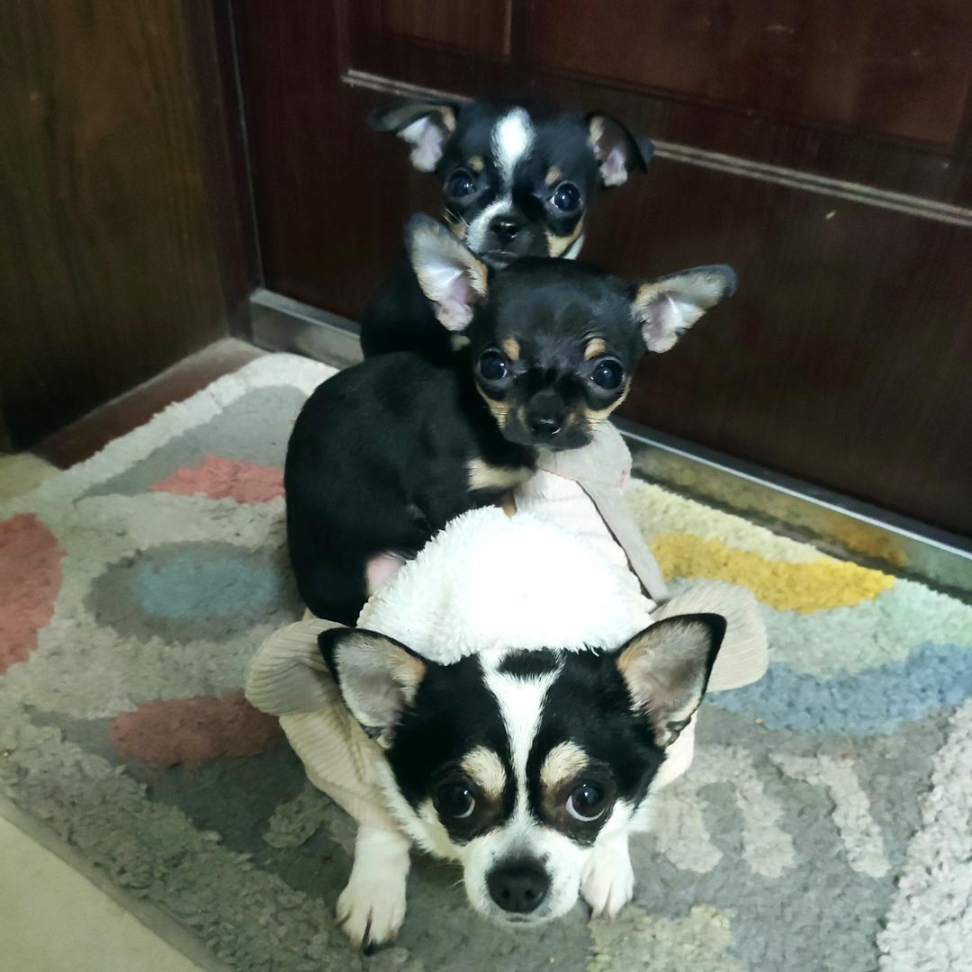 花花佳佳零食小铺