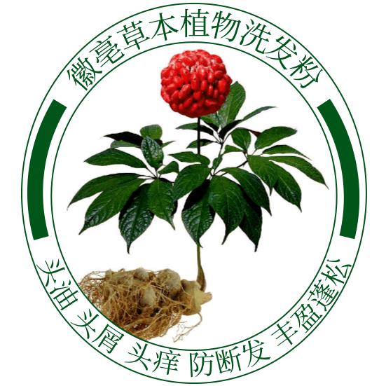 徽亳草本植物洗发粉工厂店丨高乂