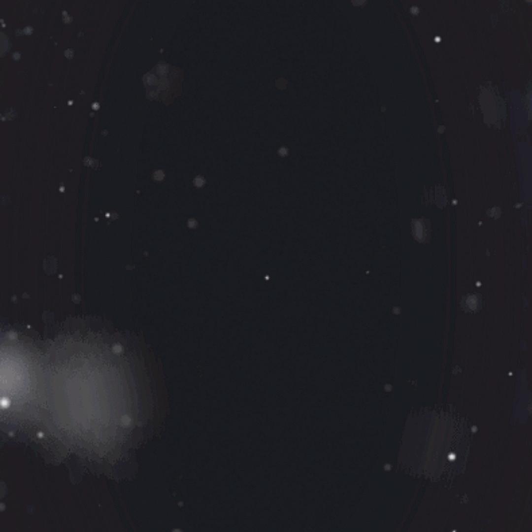 鱼