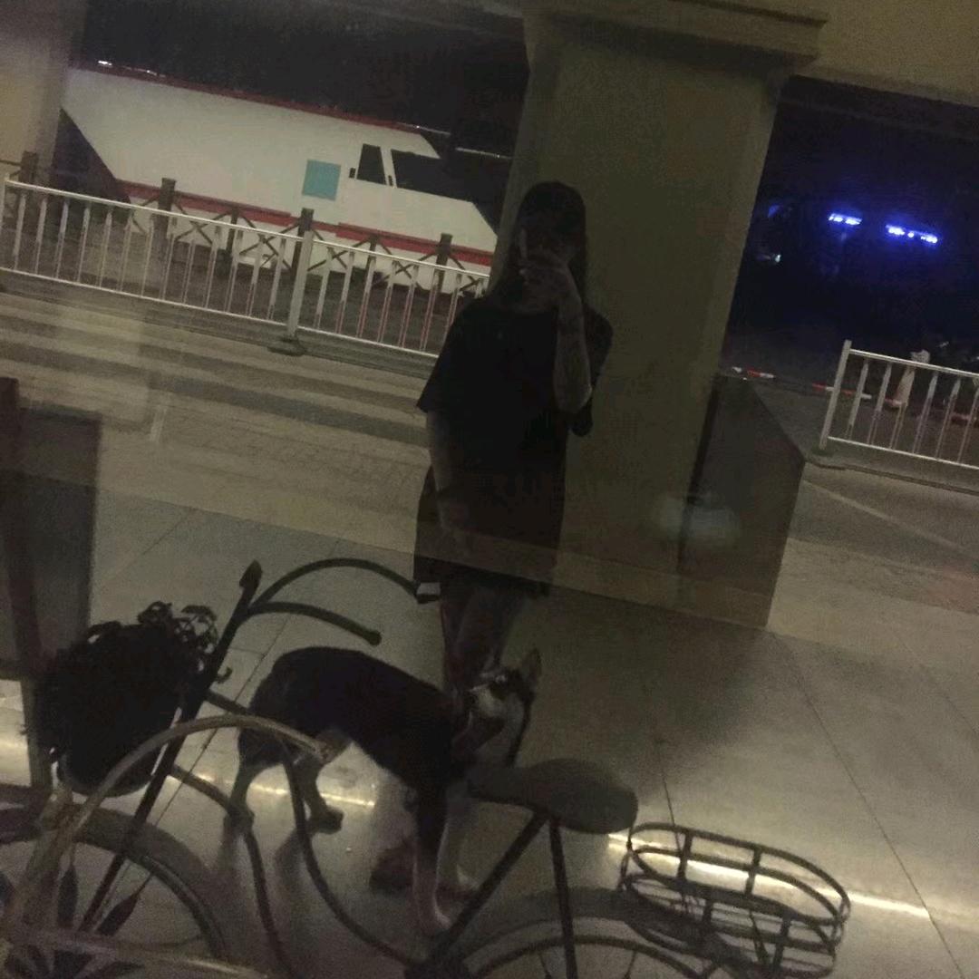 彩色姿态 针织内衣