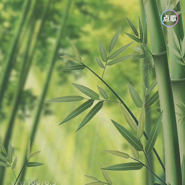 太阳花