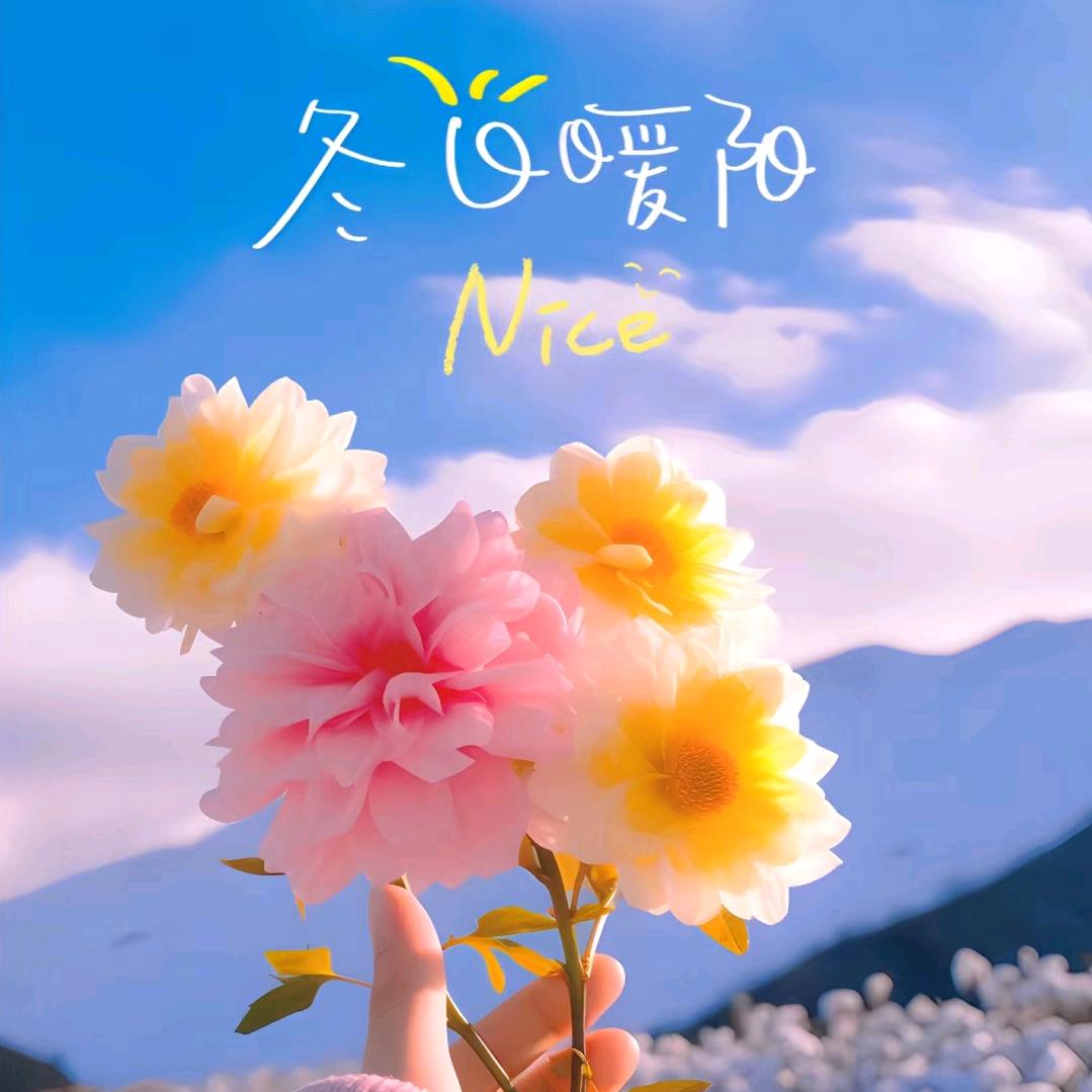 石头🌲