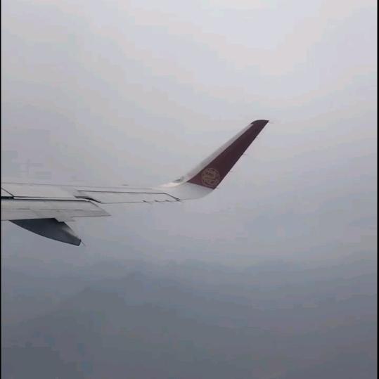 小芸