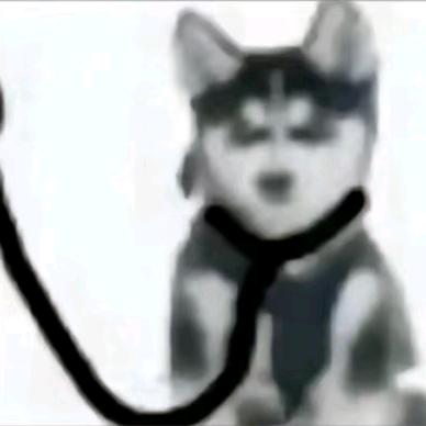听筝