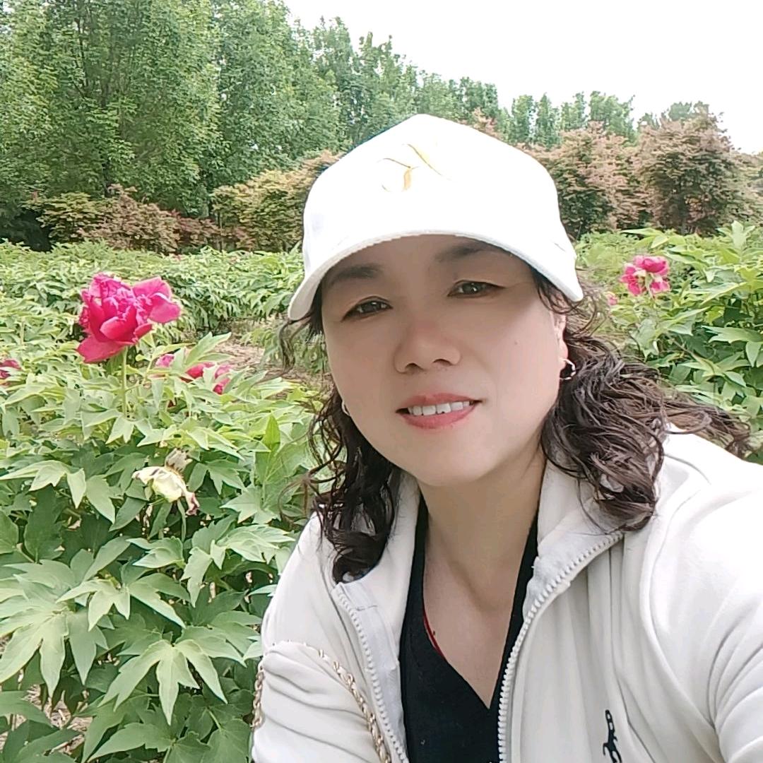 金猪旺旺