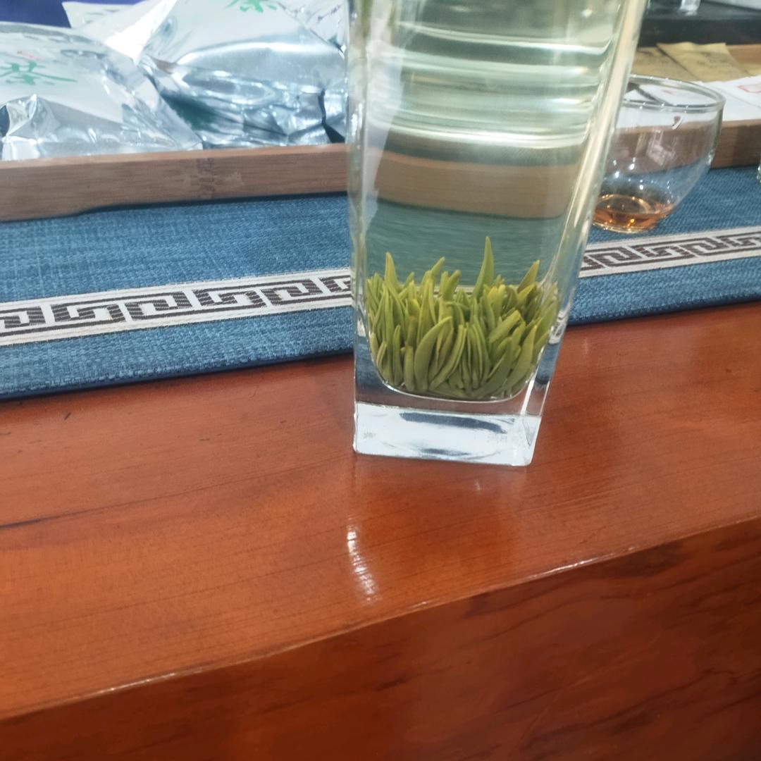 坚持就是胜利