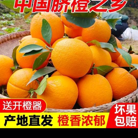 宁都县橙香脐橙场