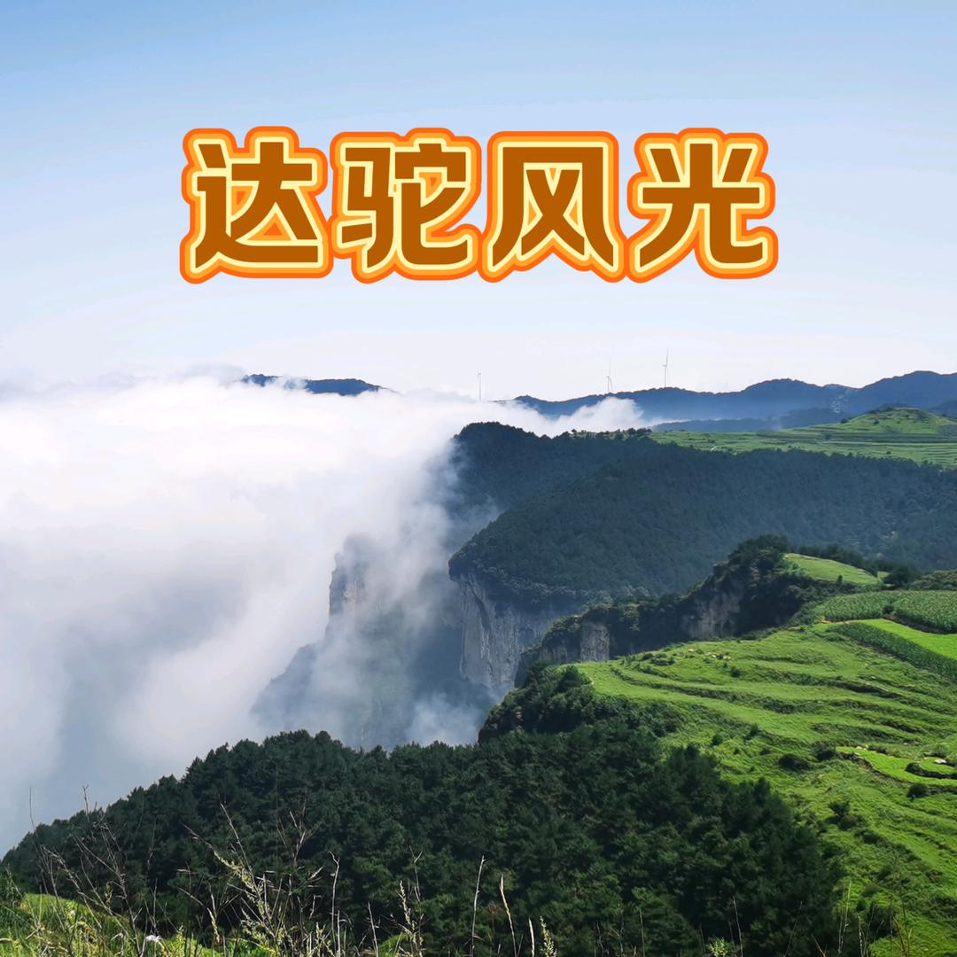 独叶（太行云居）