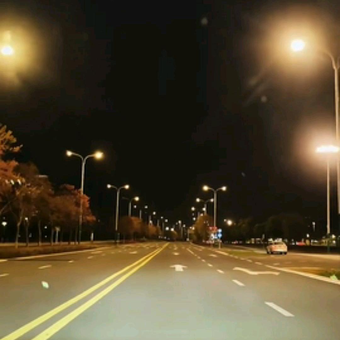 敉虎