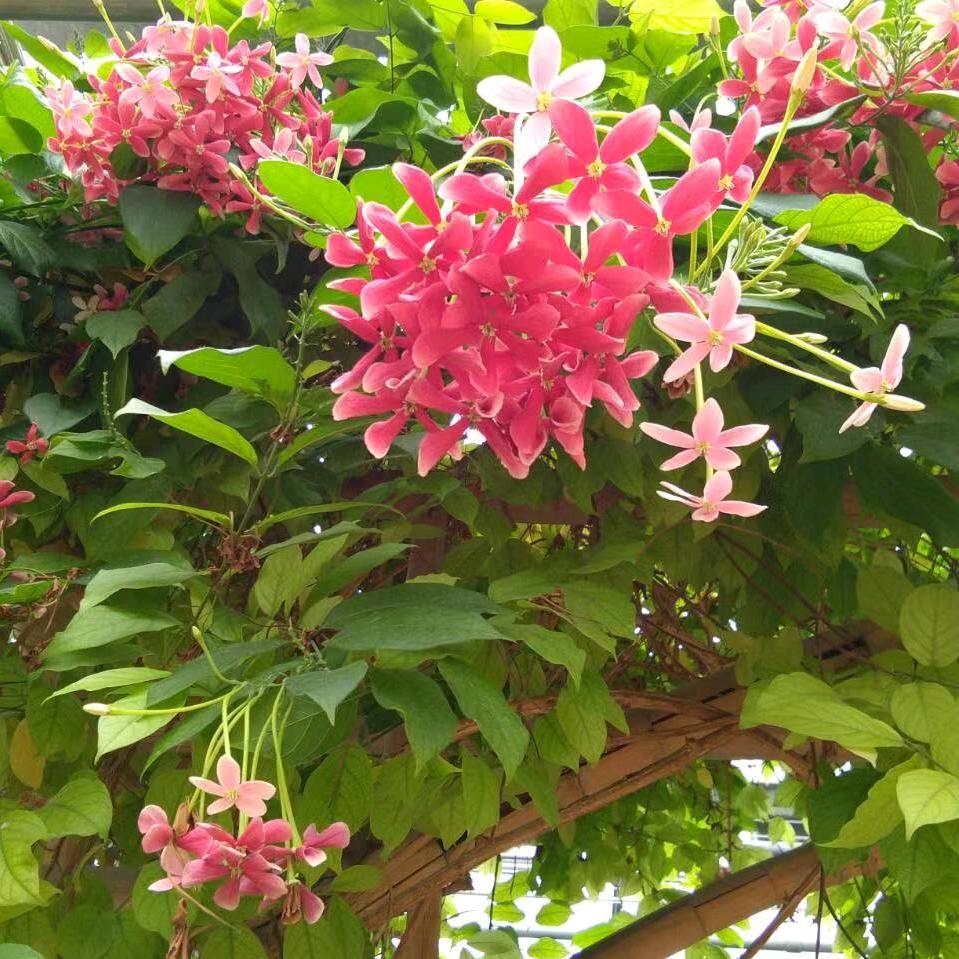 钱同存