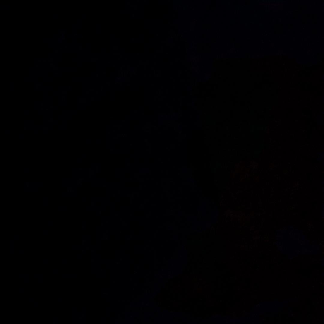 他有感情，也有交情。也有亲情。！？！？