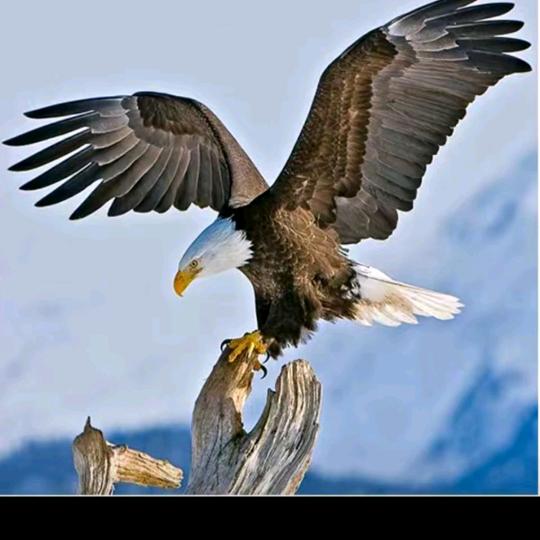 山里头侬(多多点赞)