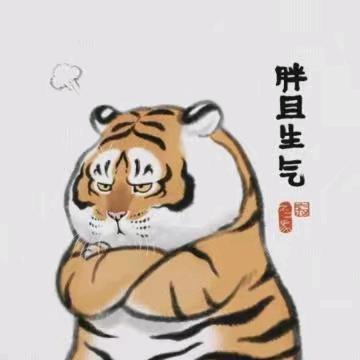 胖虎胖乎乎☯ᴺᵀᵞ