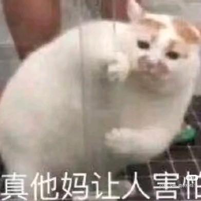 🌈看看就好，搬砖老许