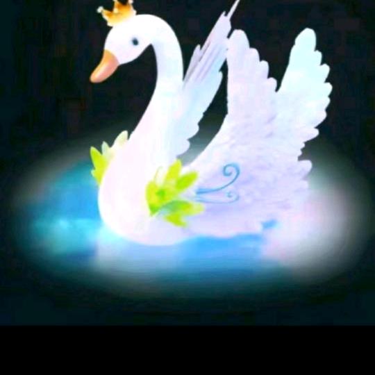 👑天鹅🦢湖🌿
