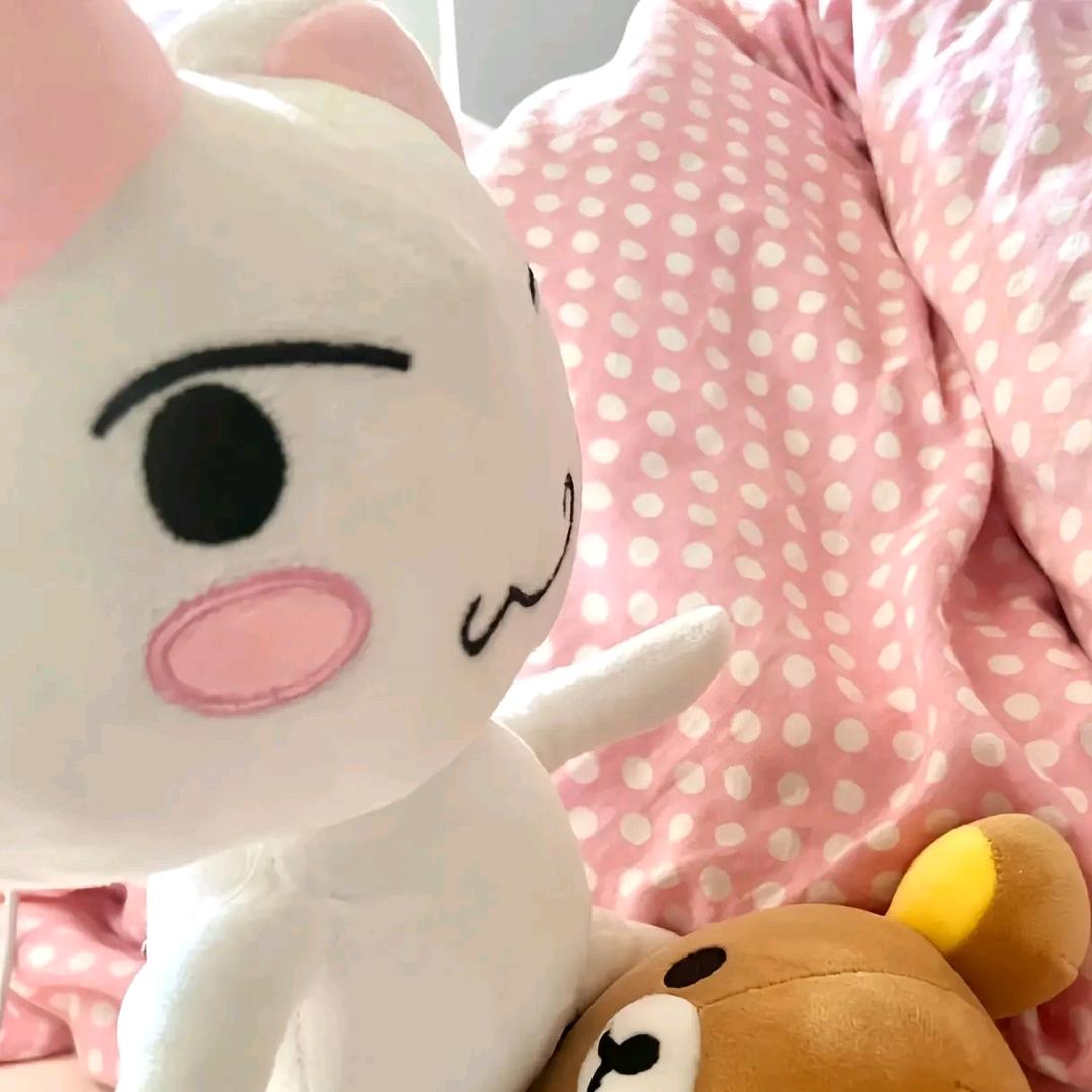 呆@小鱼🐟^