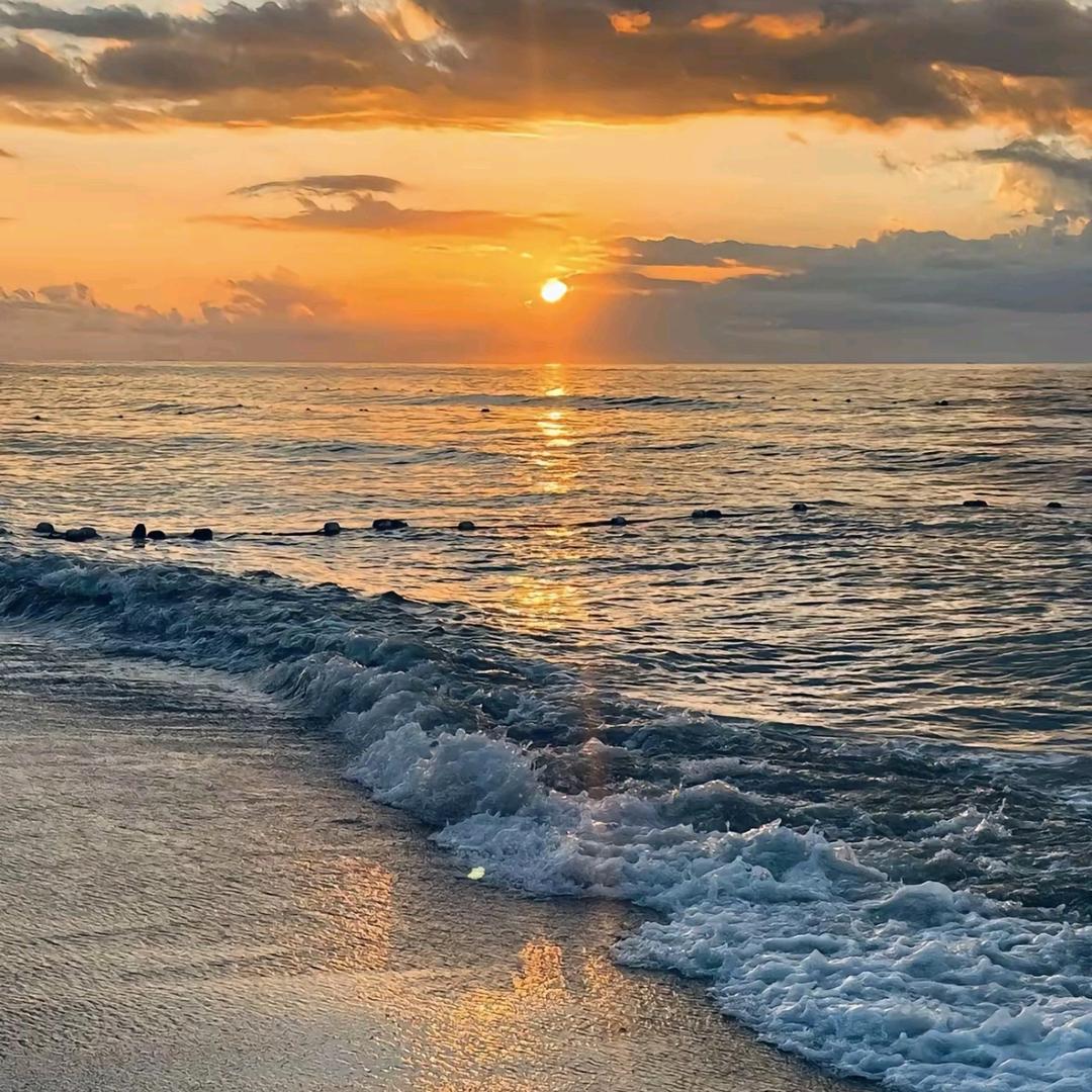 哈哈哈哈哈哈哈