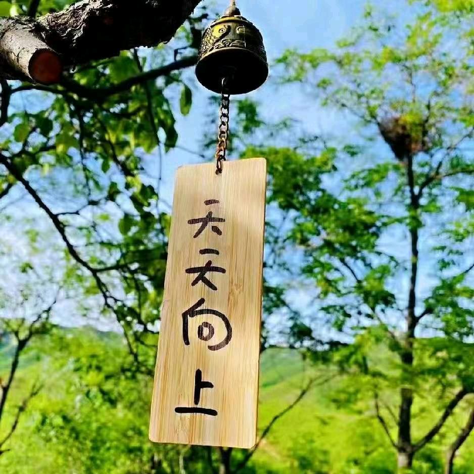 浩然郑气