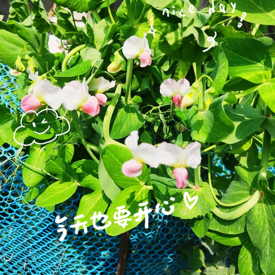 镜中灯