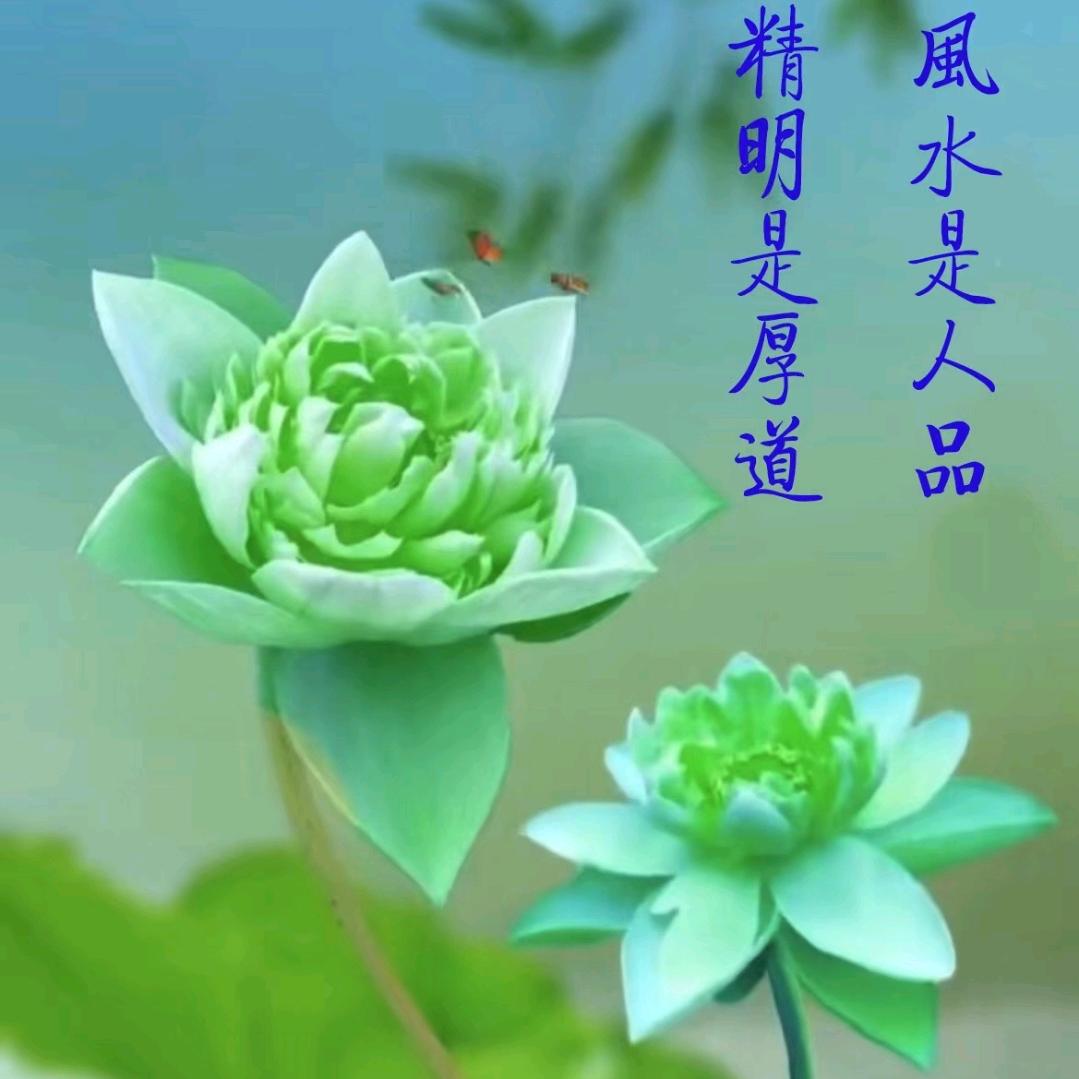太棒了