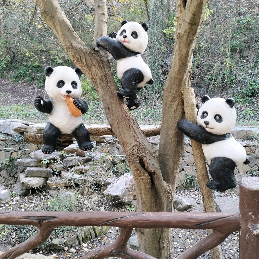 亅C(自由的我）