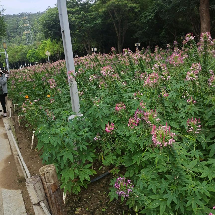 余生好好爱自己