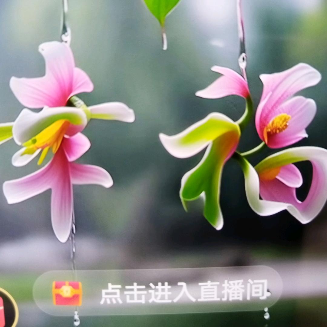 心想事成。