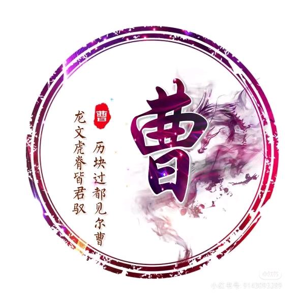 中国好男儿（波总）