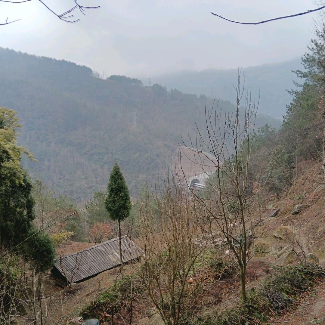 自竹动植物示范基地