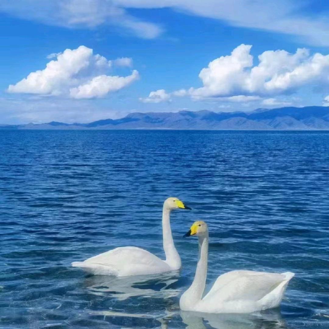 ✨爱旅游的恒哥
