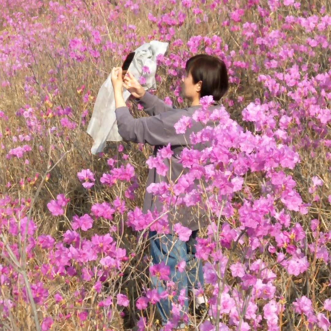 玉苑河磨玉玖号