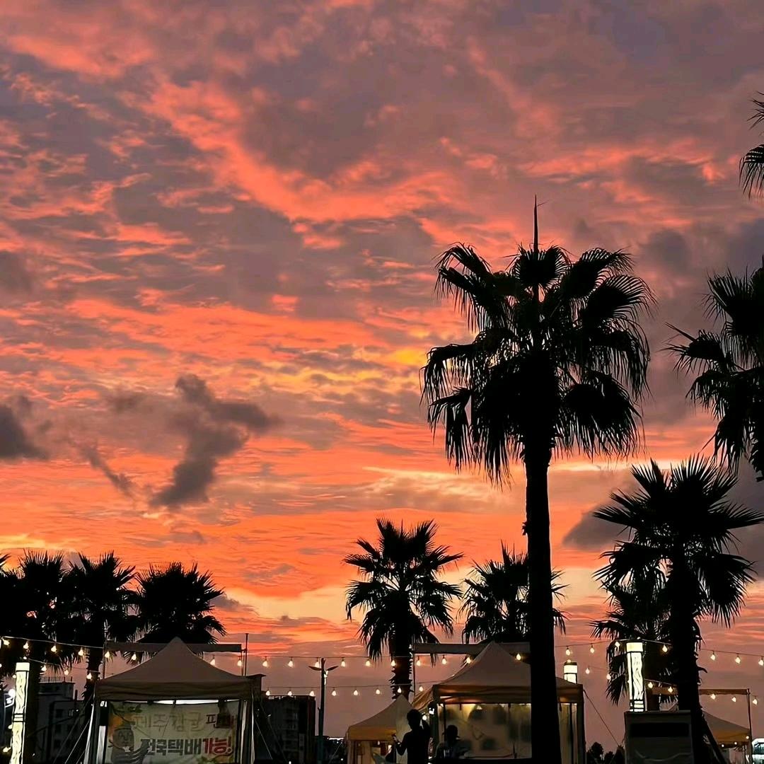 金刚不坏腰间盘