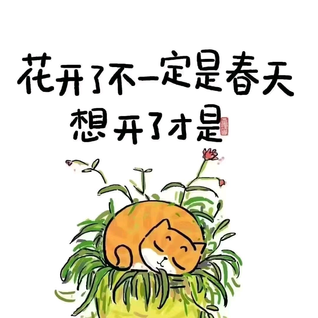 手握大鸟的骑士