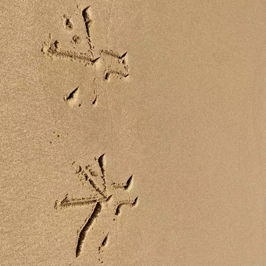 朵伊吖~