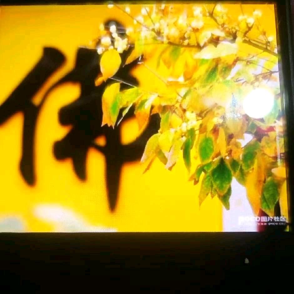 佛渡有缘人🔥