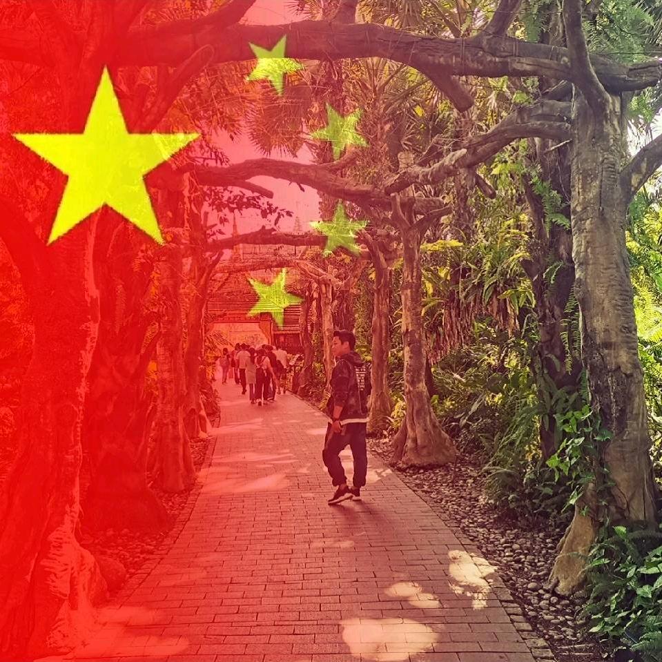 T^T发仔