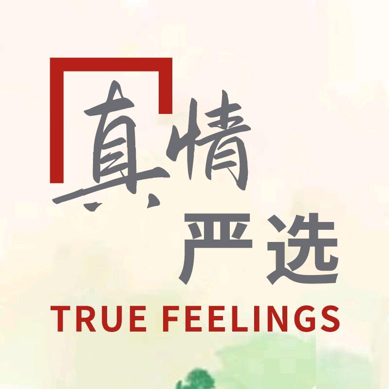 真情看世界