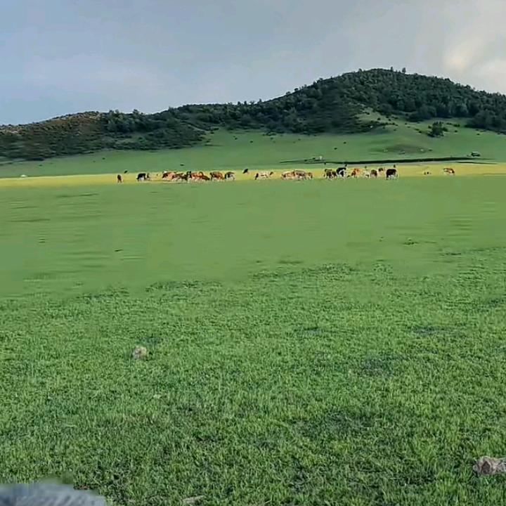 不要啥都求圆满