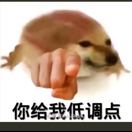 偷金的星星