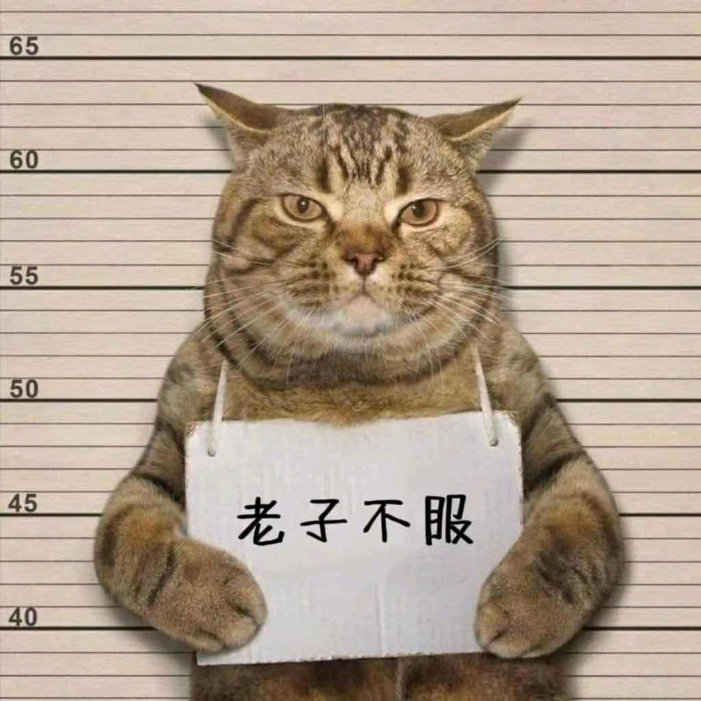 LG，人间