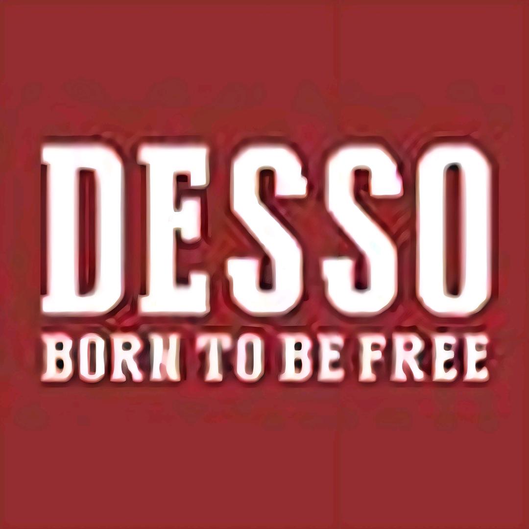 DESSO婴童洗护旗舰店