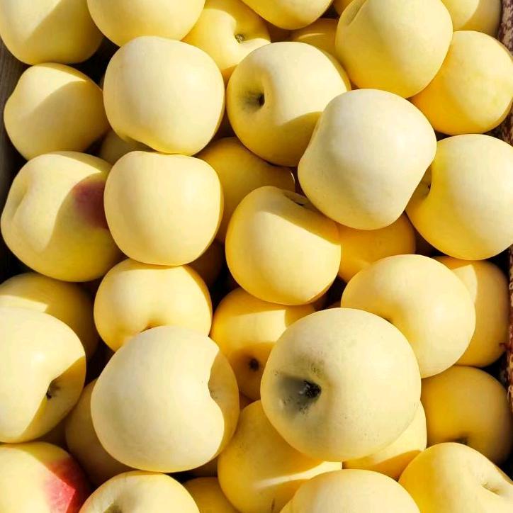 威海青皮无花果（祥慧鲜果店）