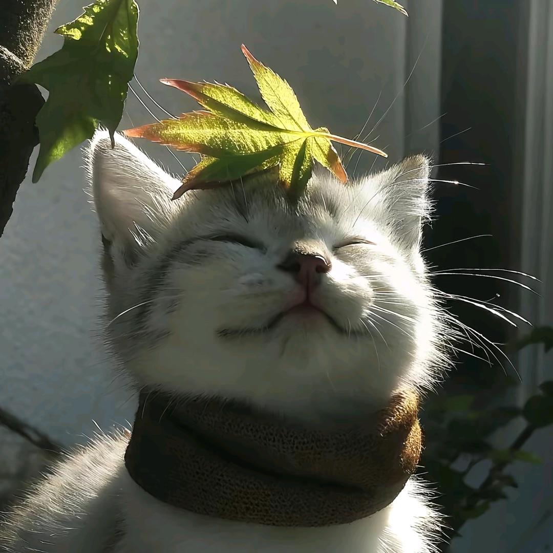 想下班