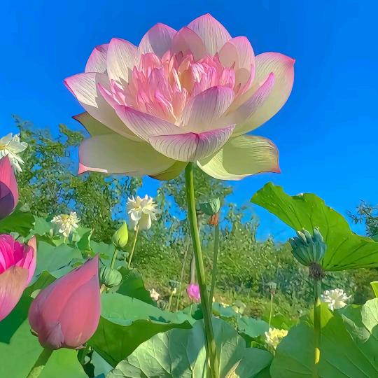 睢宁千之韵百货店